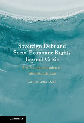 Scali |  Sovereign Debt and Socio-Economic Rights Beyond Crisis | Buch |  Sack Fachmedien