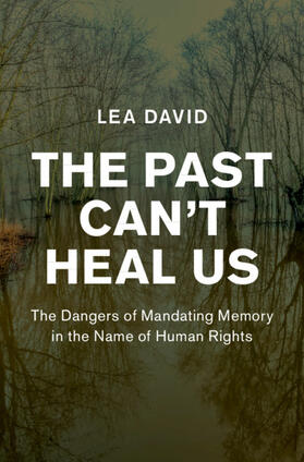 David |  The Past Can't Heal Us | Buch |  Sack Fachmedien