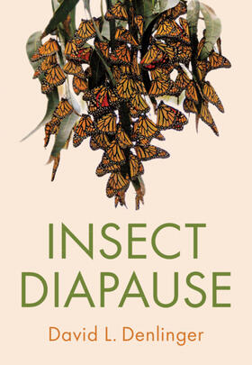 Denlinger |  Insect Diapause | Buch |  Sack Fachmedien