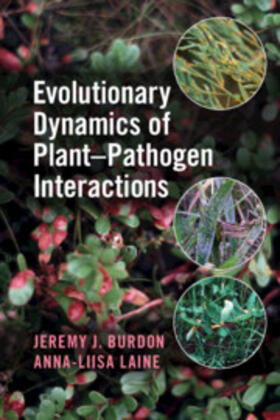 Burdon / Laine |  Evolutionary Dynamics of Plant-Pathogen Interactions | Buch |  Sack Fachmedien