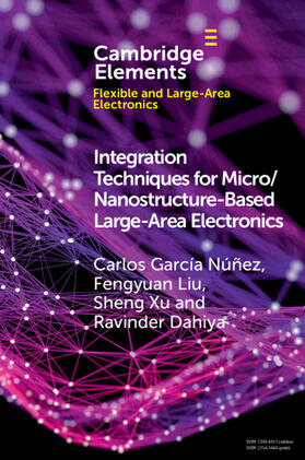 García Núñez / Liu / Xu |  Integration Techniques for Micro/Nanostructure-Based Large-Area Electronics | Buch |  Sack Fachmedien