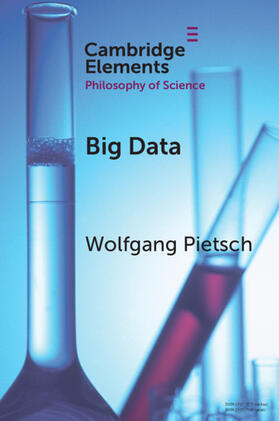 Pietsch |  Big Data | Buch |  Sack Fachmedien
