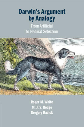 White / Hodge / Radick |  Darwin's Argument by Analogy | Buch |  Sack Fachmedien