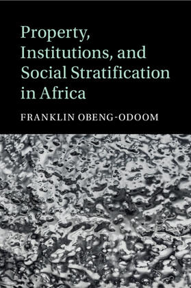 Obeng-Odoom |  Property, Institutions, and Social Stratification in Africa | Buch |  Sack Fachmedien