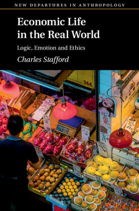 Stafford |  Economic Life in the Real World | Buch |  Sack Fachmedien