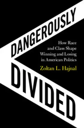 Hajnal |  Dangerously Divided | Buch |  Sack Fachmedien