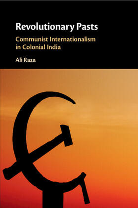 Raza |  Revolutionary Pasts | Buch |  Sack Fachmedien