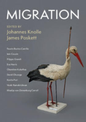 Knolle / Poskett | Migration | Buch | 978-1-108-74601-4 | sack.de