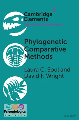 Soul / Wright |  Phylogenetic Comparative Methods | Buch |  Sack Fachmedien