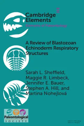 Sheffield / Limbeck / Bauer |  A Review of Blastozoan Echinoderm Respiratory Structures | Buch |  Sack Fachmedien