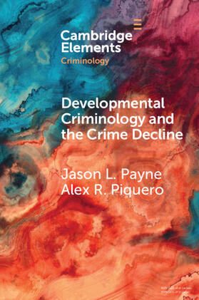Payne / Piquero |  Developmental Criminology and the Crime Decline | Buch |  Sack Fachmedien