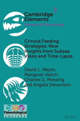 Meyer / Veitch / Messing |  Crinoid Feeding Strategies: New Insights from Subsea Video and Time-Lapse | Buch |  Sack Fachmedien