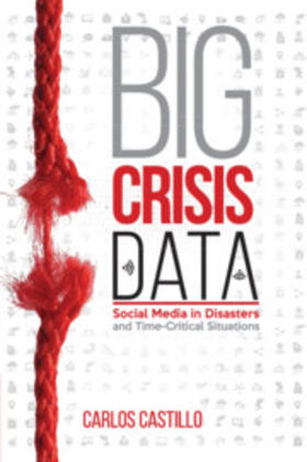 Castillo |  Big Crisis Data | Buch |  Sack Fachmedien