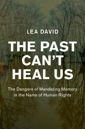 David |  The Past Can't Heal Us | Buch |  Sack Fachmedien