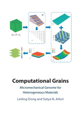 Dong / Atluri |  Computational Grains | Buch |  Sack Fachmedien