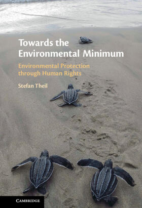 Theil |  Towards the Environmental Minimum | Buch |  Sack Fachmedien