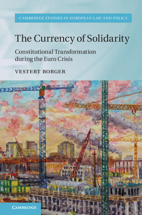 Borger |  The Currency of Solidarity | Buch |  Sack Fachmedien