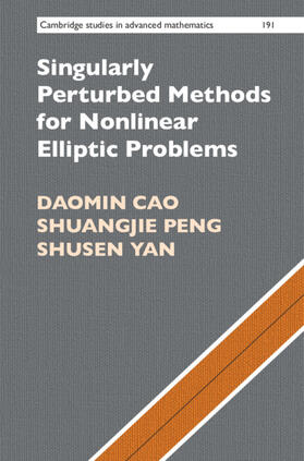 Cao / Peng / Yan |  Singularly Perturbed Methods for Nonlinear Elliptic Problems | Buch |  Sack Fachmedien