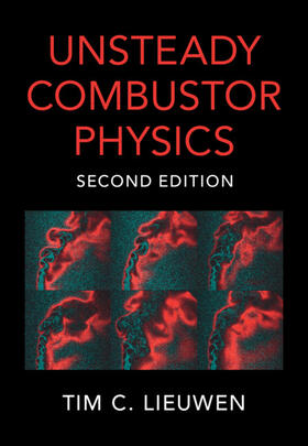 Lieuwen |  Unsteady Combustor Physics | Buch |  Sack Fachmedien
