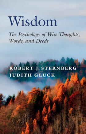 Sternberg / Glück |  Wisdom | Buch |  Sack Fachmedien