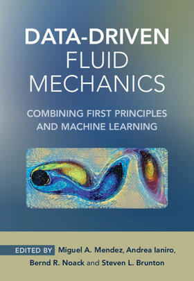 Ianiro / Mendez / Noack |  Data-Driven Fluid Mechanics | Buch |  Sack Fachmedien