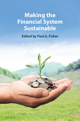 Fisher |  Making the Financial System Sustainable | Buch |  Sack Fachmedien