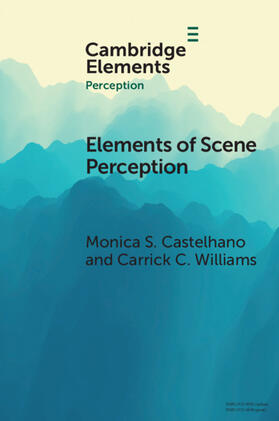 Castelhano / Williams |  Elements of Scene Perception | Buch |  Sack Fachmedien