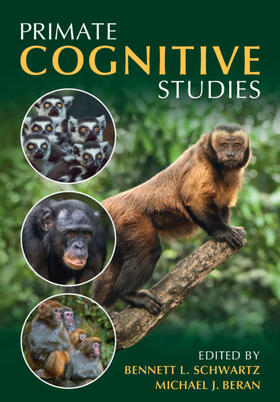 Schwartz / Beran | Primate Cognitive Studies | Buch | 978-1-108-95819-6 | sack.de