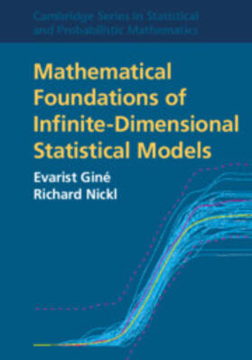 Giné / Nickl |  Mathematical Foundations of Infinite-Dimensional Statistical Models | Buch |  Sack Fachmedien