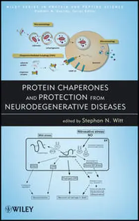 Witt |  Protein Chaperones and Protection from Neurodegenerative Diseases | eBook | Sack Fachmedien