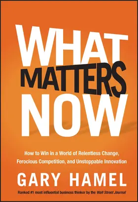 Hamel |  What Matters Now | Buch |  Sack Fachmedien