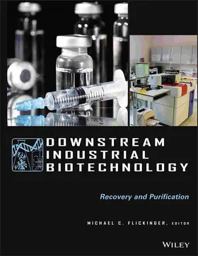 Flickinger |  Downstream Industrial Biotechnology | Buch |  Sack Fachmedien