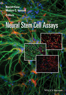Kaur / Vemuri |  Neural Stem Cell Assays | Buch |  Sack Fachmedien