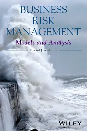 Anderson |  Business Risk Management | Buch |  Sack Fachmedien