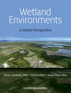 Aber / Pavri |  Wetland Environments | eBook | Sack Fachmedien