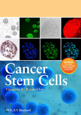 Rajasekhar |  Cancer Stem Cells | Buch |  Sack Fachmedien