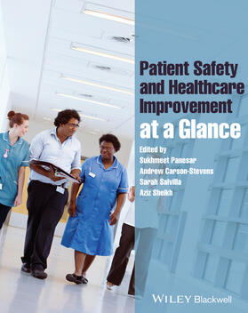 Panesar / Carson-Stevens / Salvilla |  Patient Safety and Healthcare Improvement at a Glance | Buch |  Sack Fachmedien