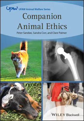 Palmer / Sandøe / Corr |  Companion Animal Ethics | Buch |  Sack Fachmedien