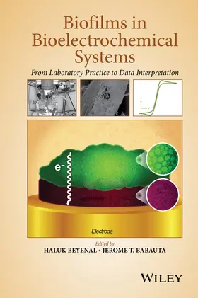 Beyenal / Babauta |  Biofilms in Bioelectrochemical Systems | Buch |  Sack Fachmedien