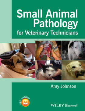 Johnson |  Johnson, A: Small Animal Pathology for Veterinary Technician | Buch |  Sack Fachmedien