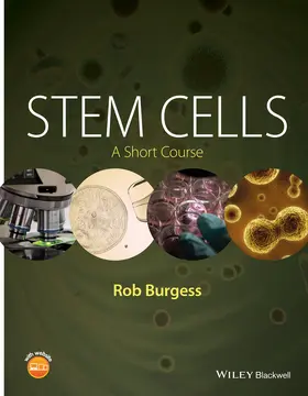 Burgess |  Stem Cells | Buch |  Sack Fachmedien