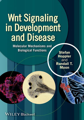 Hoppler / Moon |  Wnt Signaling in Development and Disease | Buch |  Sack Fachmedien