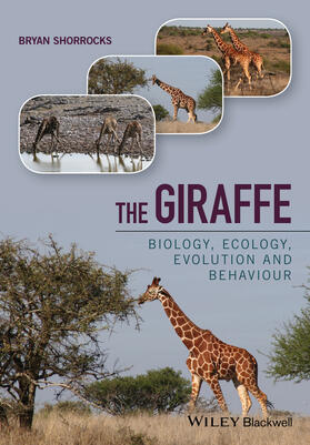 Shorrocks |  The Giraffe | Buch |  Sack Fachmedien