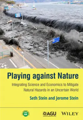 Stein |  Playing against Nature | eBook | Sack Fachmedien