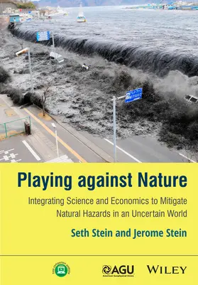 Stein |  Playing Against Nature | Buch |  Sack Fachmedien