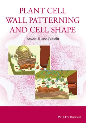 Fukuda |  Plant Cell Wall Patterning and Cell Shape | Buch |  Sack Fachmedien