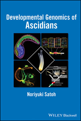 Satoh |  Developmental Genomics of Ascidians | Buch |  Sack Fachmedien