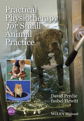 Prydie / Hewitt |  Practical Physiotherapy for Small Animal Practice | Buch |  Sack Fachmedien