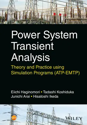 Haginomori / Koshiduka / Arai |  Power System Transient Analysis | Buch |  Sack Fachmedien