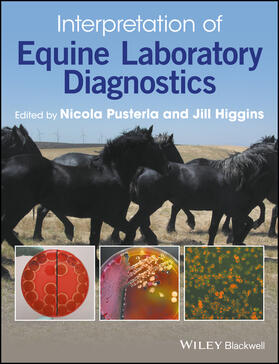 Pusterla / Higgins |  Interpretation of Equine Laboratory Diagnostics | Buch |  Sack Fachmedien